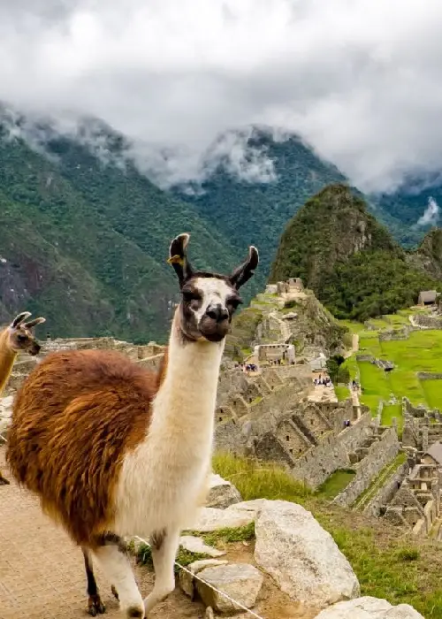 Tour Machu Picchu 2 días